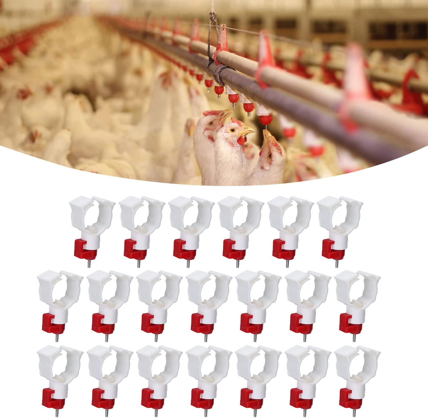 Chicken Nipple Drinker - คุณภาพสูง 20PCS ไก่เครื่องดื่มอัตโนมัติน้ําจุกนมปากเครื่องดื่มสําหรับไก่ท่อ Waterer Poultry Supply