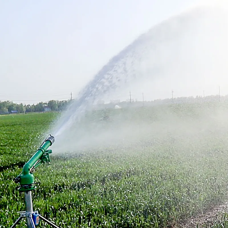 Organic Farming In Agriculture - สปริงเกลอร์ฟาร์มข้าวโพดทางการเกษตร 360 หมุนปืนใหญ่สปริงเกลอร์ระบบชลประทาน 50 ม