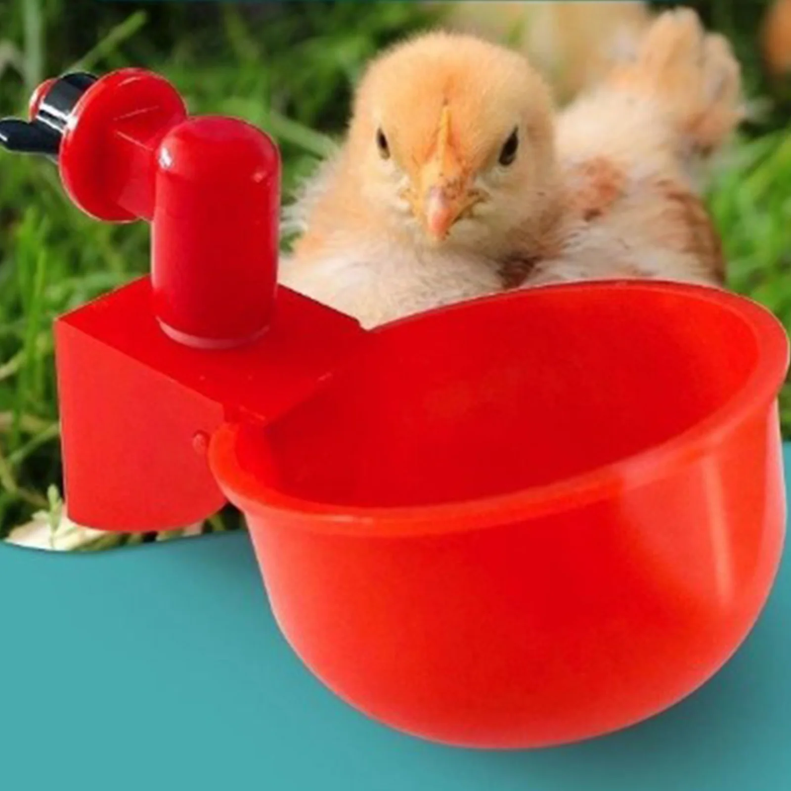 6-36 ชิ้นไก่เป็ดดื่มถ้วยเครื่อ - Chicken Nipple Drinker บทวิจารณ์และราคา