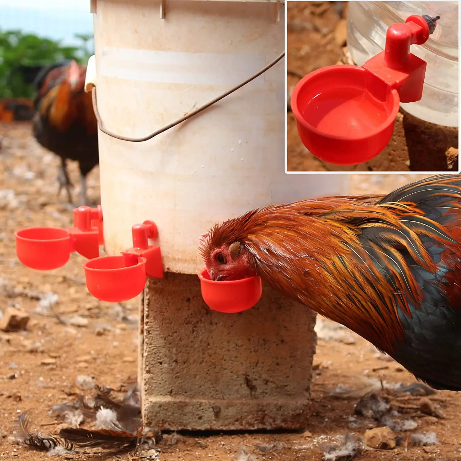 6-36 ชิ้นไก่เป็ดดื่มถ้วยเครื่อ - Chicken Nipple Drinker บทวิจารณ์และราคา