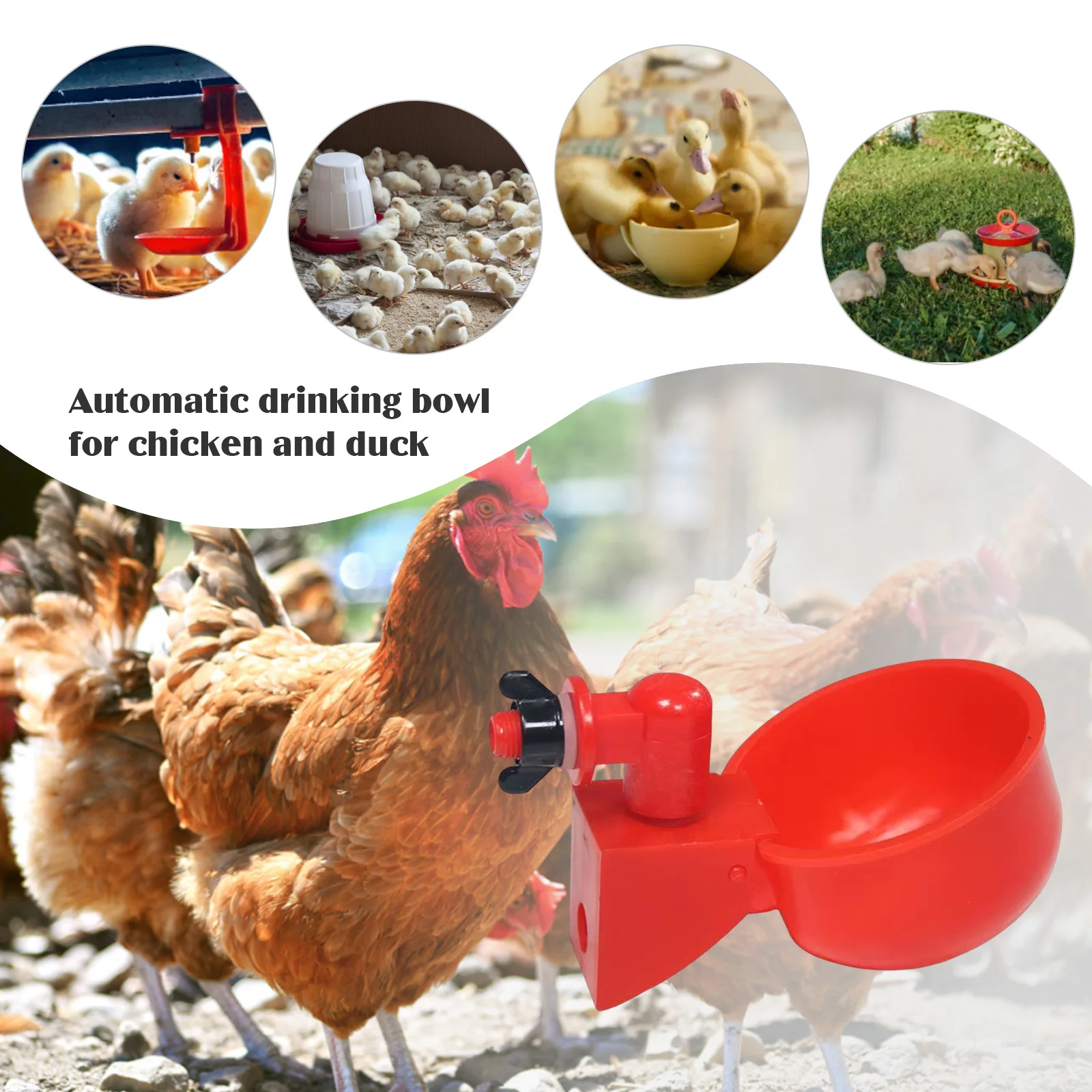 6-36 ชิ้นไก่เป็ดดื่มถ้วยเครื่อ - Chicken Nipple Drinker บทวิจารณ์และราคา