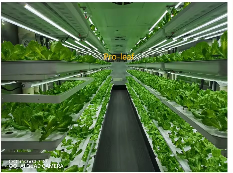 อุปกรณ์การเกษตรในโรงเรือนเพาะเ - Agriculture Farming Systems บทวิจารณ์และราคา