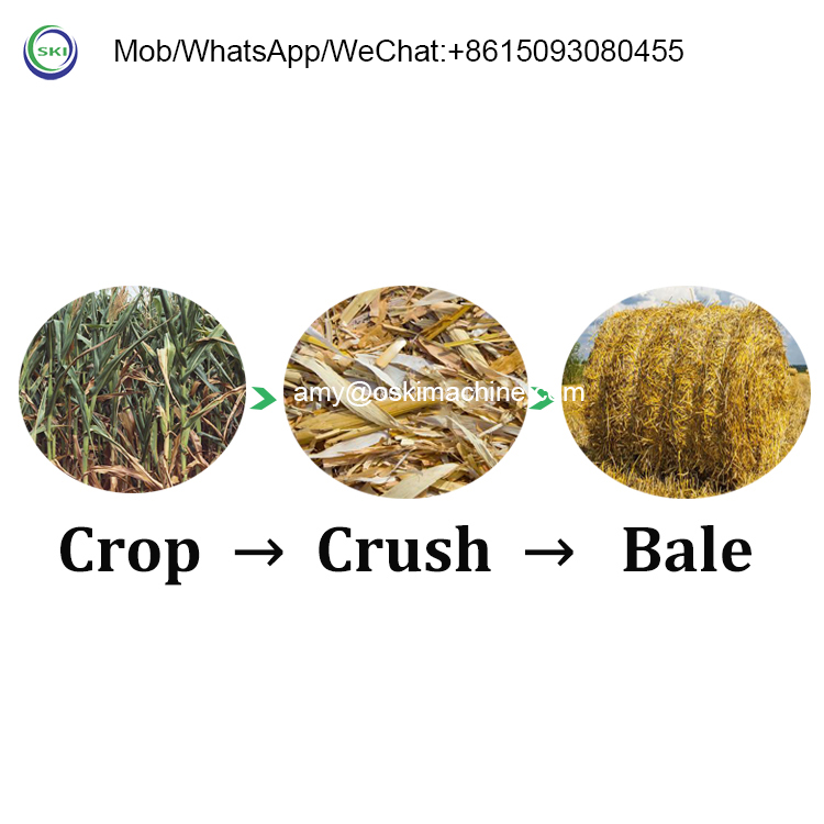 เครื่องอัดฟางข้าวโพดแบบม้วนกลม - Silage Baler Machine บทวิจารณ์และราคา