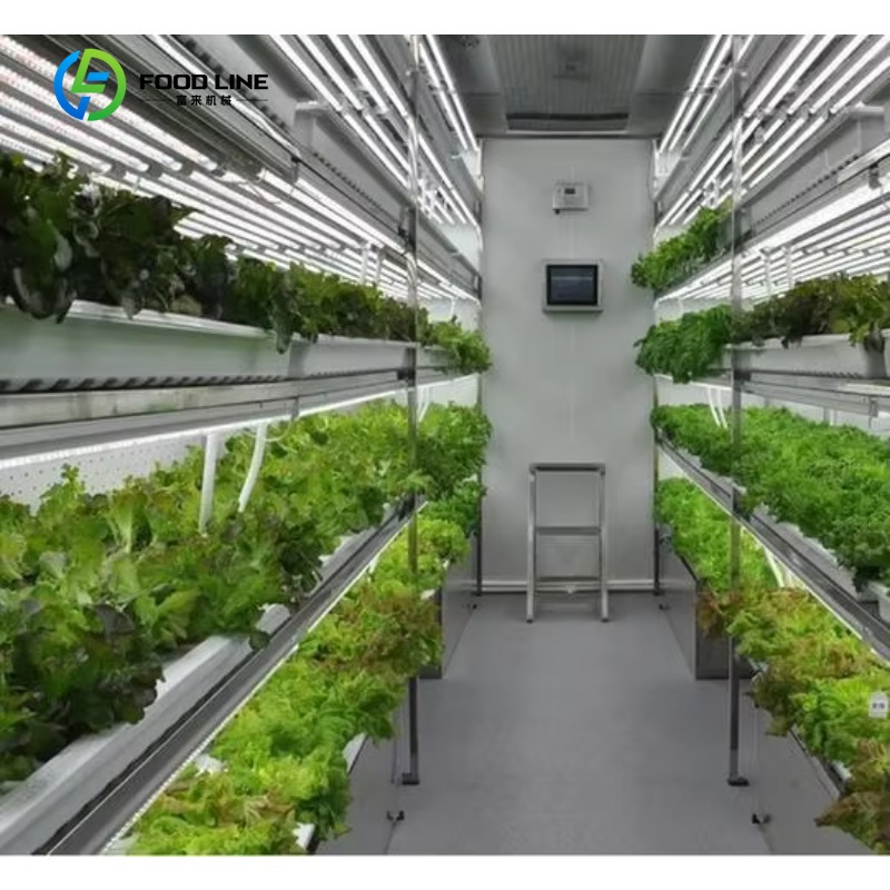 ระบบปลูกผักไฮโดรโปนิกส์แบบ NFT - Agriculture Vertical Farming บทวิจารณ์และราคา
