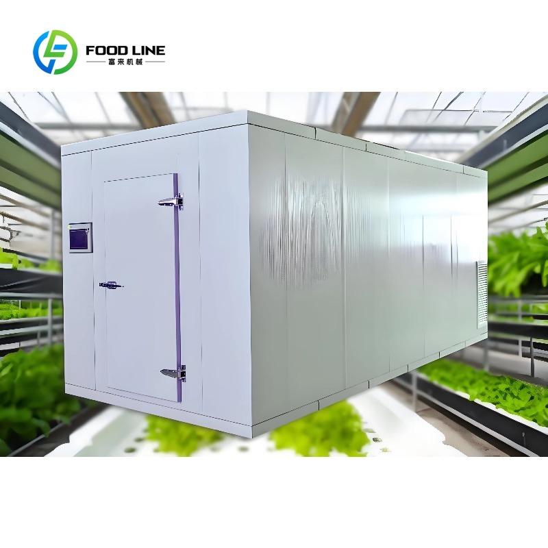 ระบบปลูกผักไฮโดรโปนิกส์แบบ NFT - Agriculture Vertical Farming บทวิจารณ์และราคา