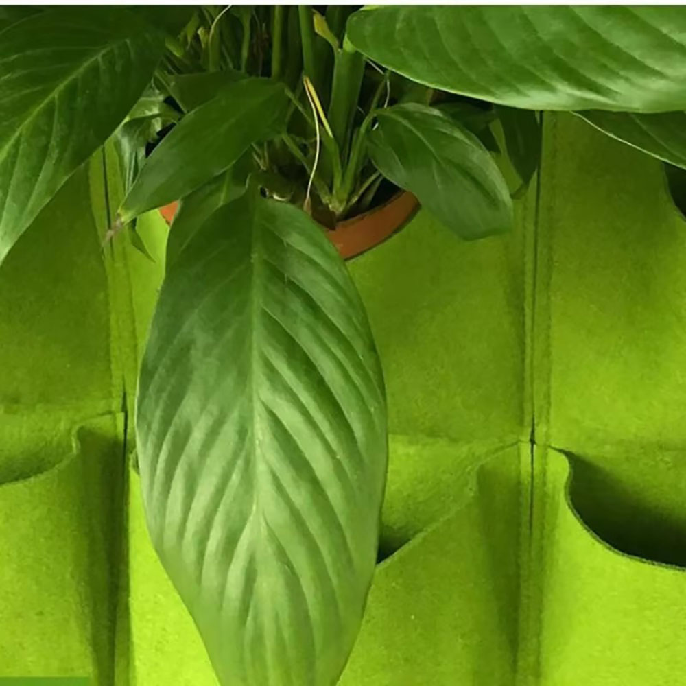 กระถางปลูกต้นไม้แบบแขวนหลายช่อ - Agriculture Vertical Farming บทวิจารณ์และราคา