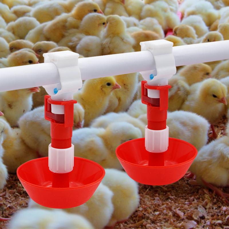 5/10/20 Pcs ไก่อัตโนมัติน้ําจุ - Chicken Nipple Drinker บทวิจารณ์และราคา