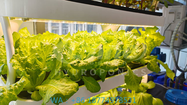 เครื่องจักรการเกษตรสำหรับปลูกผ - Agriculture Vertical Farming บทวิจารณ์และราคา