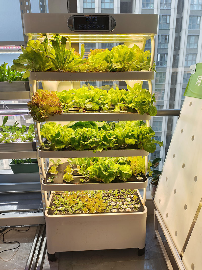 เครื่องจักรการเกษตรสำหรับปลูกผ - Agriculture Vertical Farming บทวิจารณ์และราคา