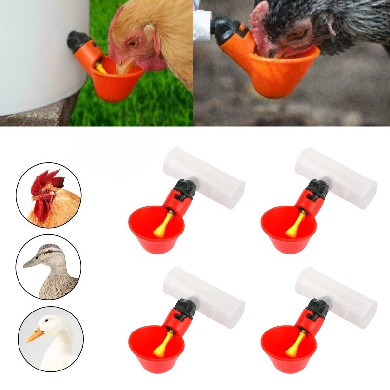 ชุดให้น้ำไก่และนกกระทาอัตโนมัต - Chicken Nipple Drinker บทวิจารณ์และราคา