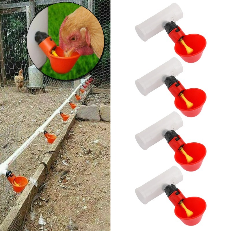 ชุดให้น้ำไก่และนกกระทาอัตโนมัต - Chicken Nipple Drinker บทวิจารณ์และราคา