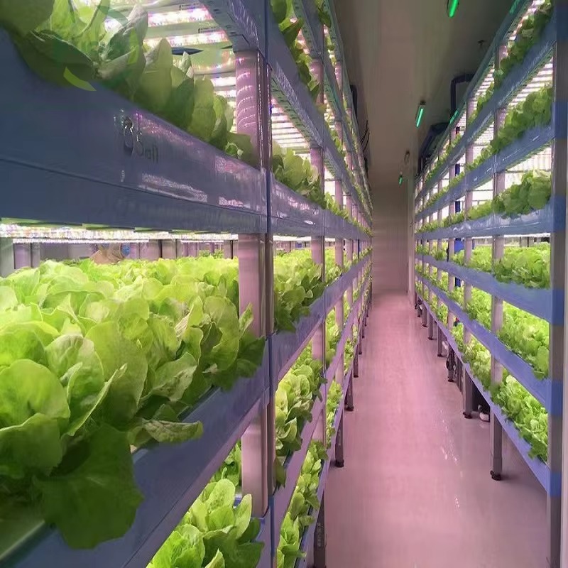 ระบบปลูกพืชไฮโดรโปนิกส์ในตู้คอ - Agriculture Vertical Farming บทวิจารณ์และราคา