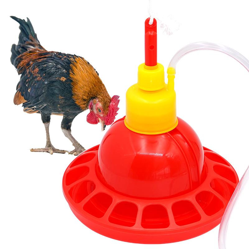 1 ชุดไก่เป็ดห่านไก่เนื้อ Drink - Chicken Nipple Drinker บทวิจารณ์และราคา