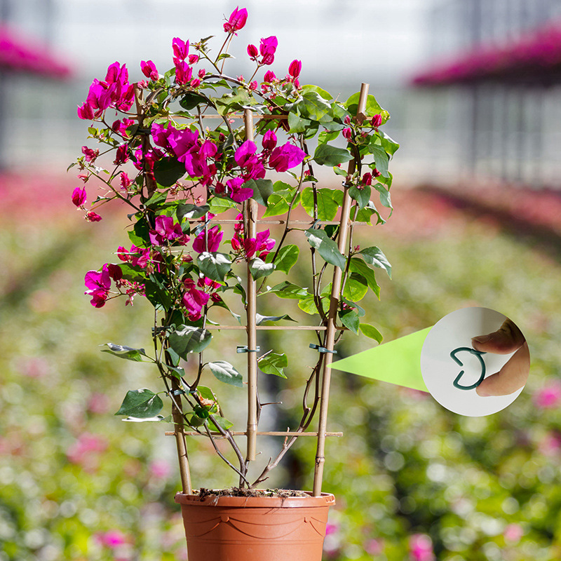 คลิปหนีบต้นไม้ในสวน 50/100 ชิ้ - Agriculture Vertical Farming บทวิจารณ์และราคา