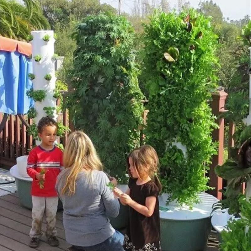 หอปลูกพืชไฮโดรโปนิกส์แนวตั้งแบ - Agriculture Vertical Farming บทวิจารณ์และราคา