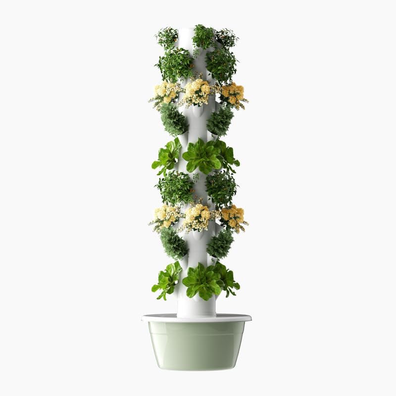 หอปลูกพืชไฮโดรโปนิกส์แนวตั้งแบ - Agriculture Vertical Farming บทวิจารณ์และราคา
